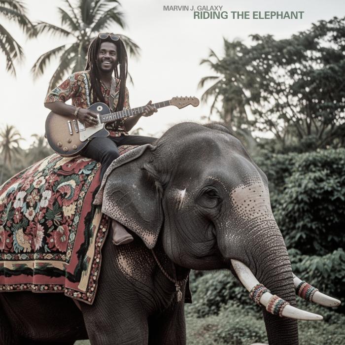 Riding the Elephant